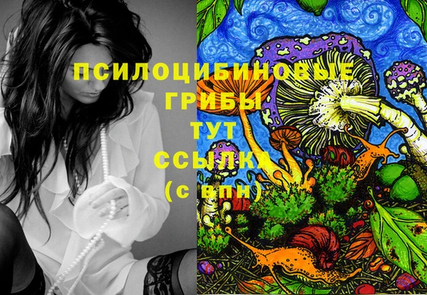 ГАЛЛЮЦИНОГЕННЫЕ ГРИБЫ Арсеньев