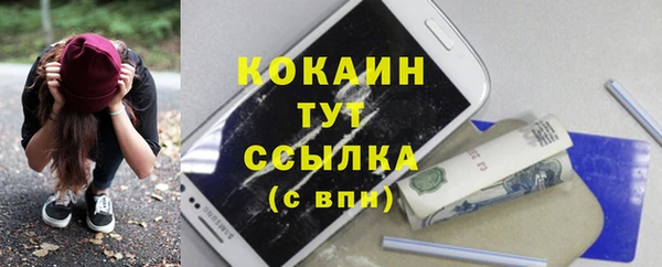 ГАЛЛЮЦИНОГЕННЫЕ ГРИБЫ Арсеньев